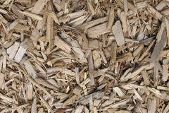 biomass boilers Garvie